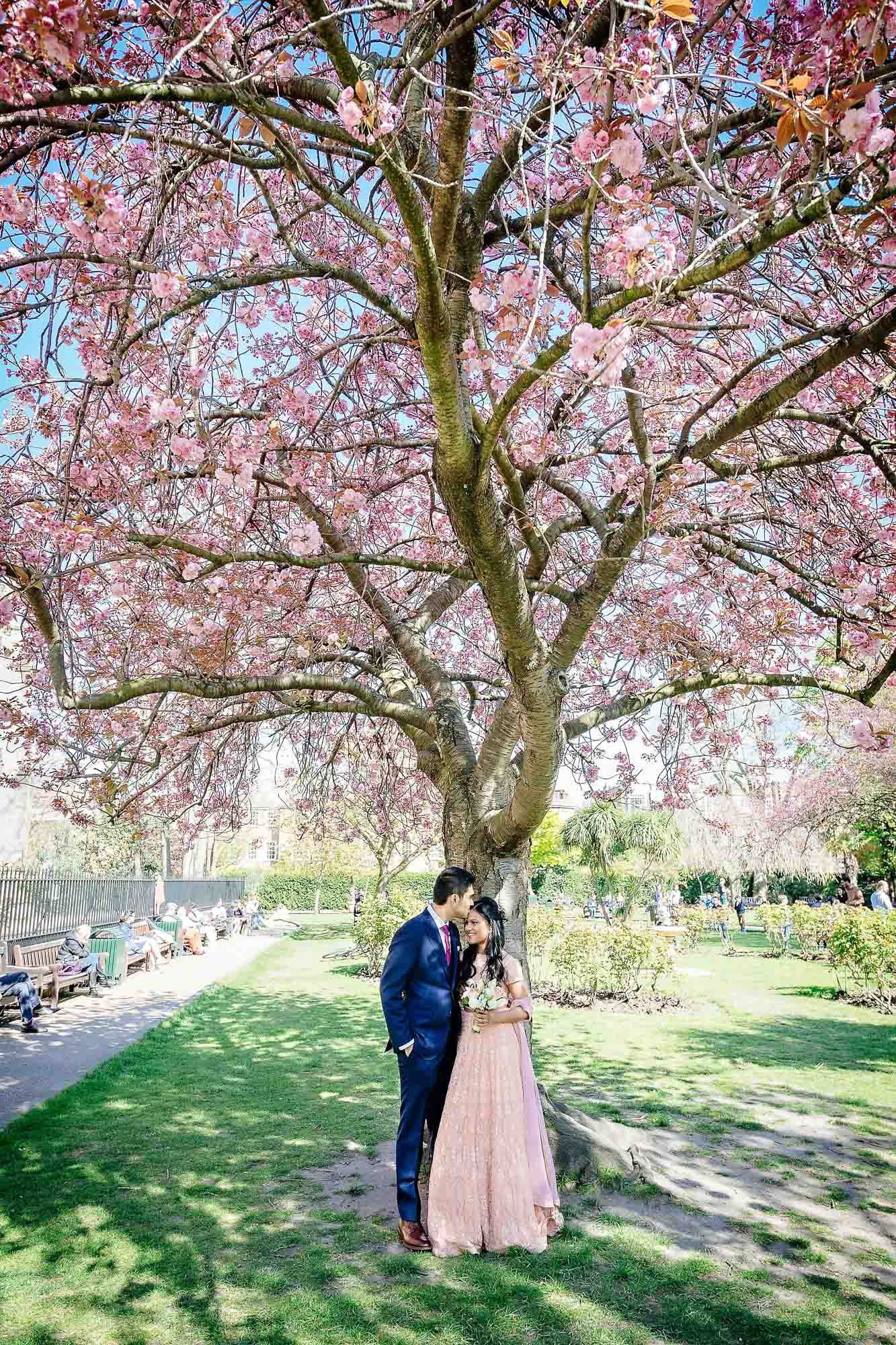 Groom kisses bride's forhead under pink blossom tree in London Park