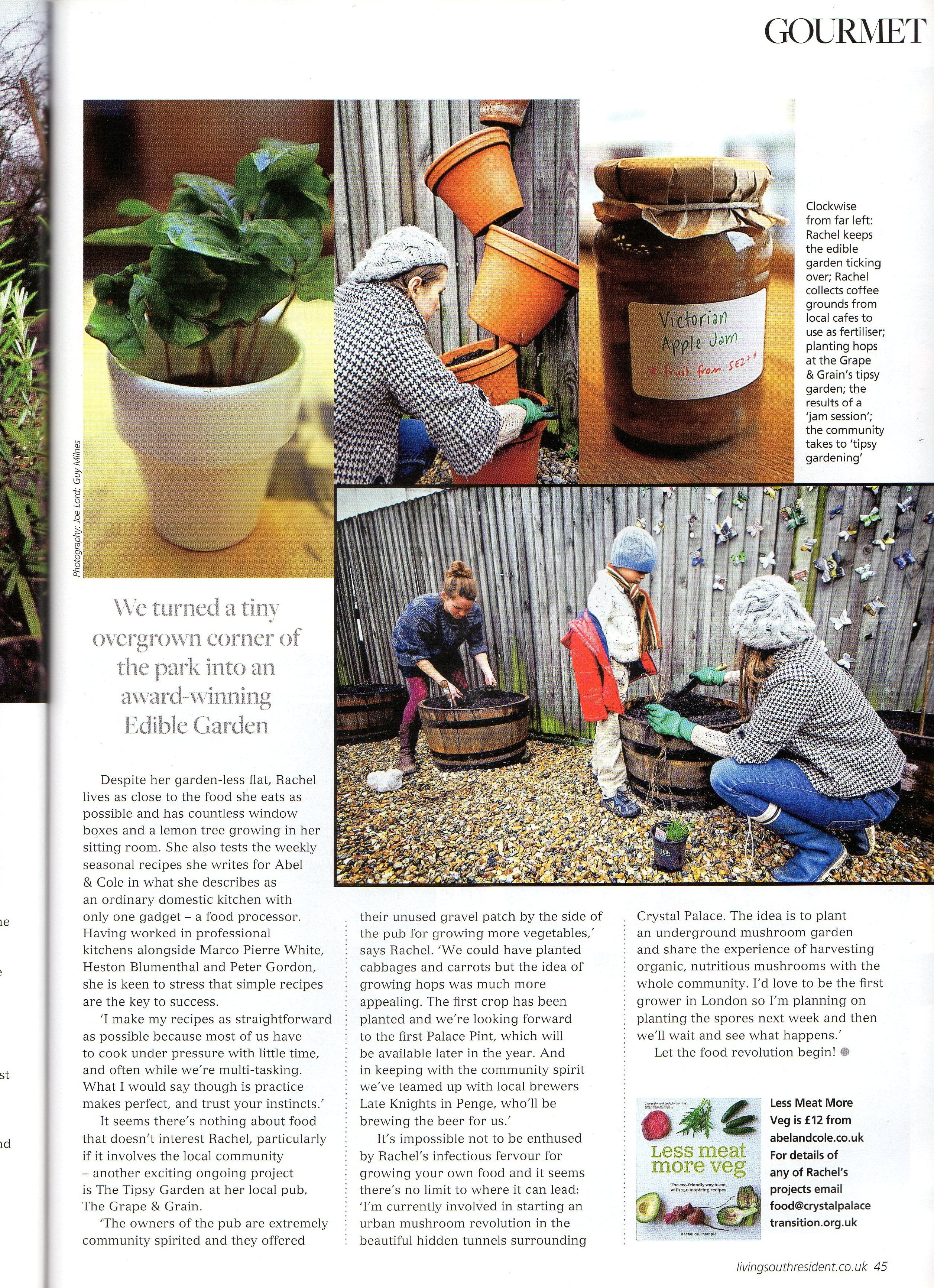 Living South Magazine Article About the Tipsy Garden - Crystal Palace Transition Town