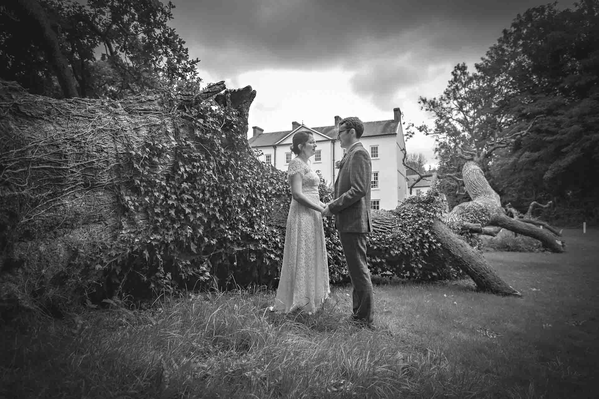 Newly-weds holding hands by fallen tree at Plas Glansevin Mansion in Wales